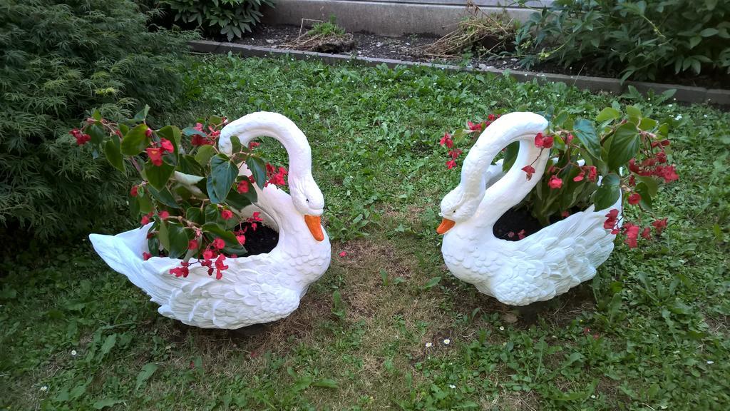 Sovramonte B&B San Giorgio المظهر الخارجي الصورة